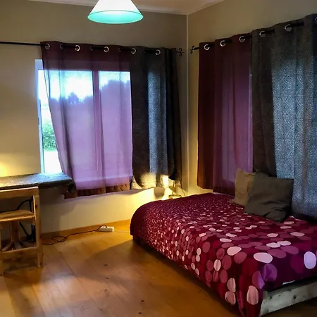 Kwatera prywatna Laranja Casa Citrina