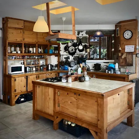 Laranja Casa Citrina Lajes das Flores